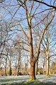 Fruehling2012   067